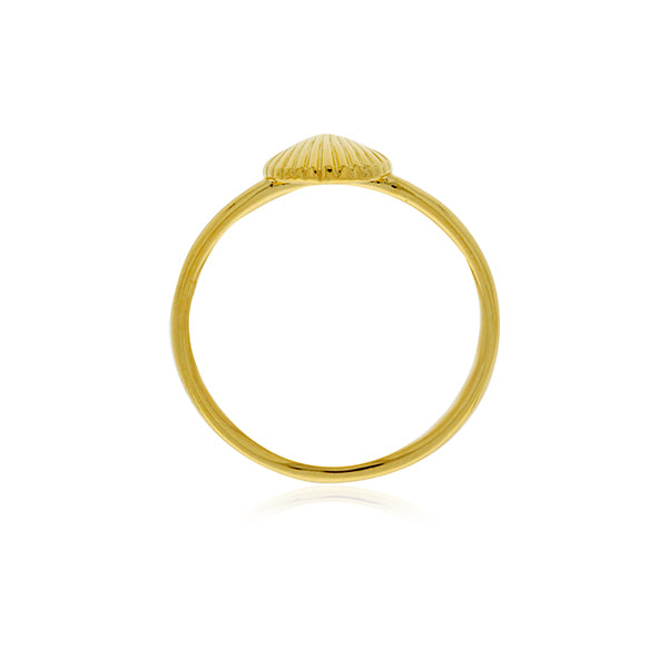 Yellow Gold Plated Shell Ring