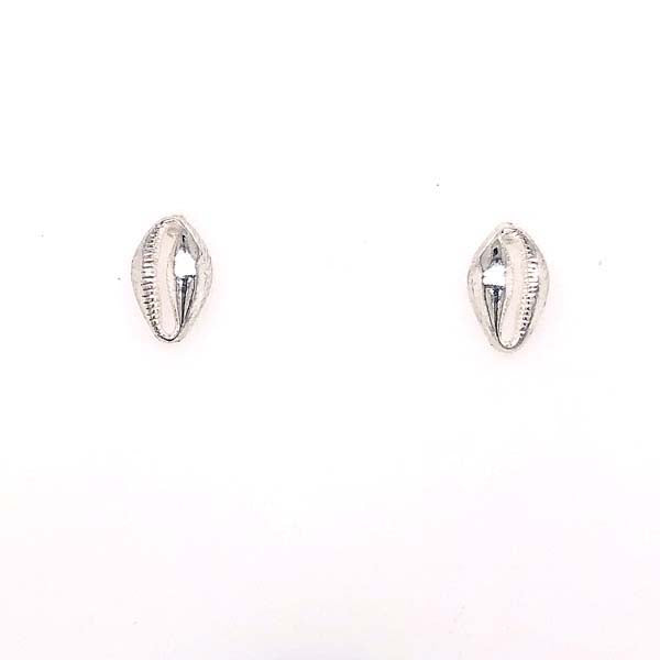 Silver Cowrie Shell Studs