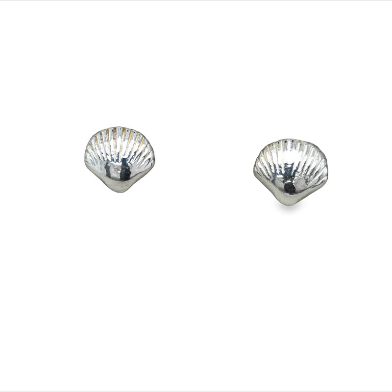 Silver Clam Shell Studs
